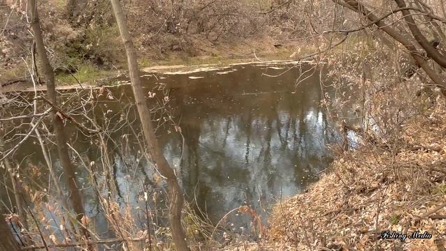 Поймать невозможное. Налим на малой реке. Заготовка червей и живца. Рыбалка на стукалку в октябре. смотреть онлайн