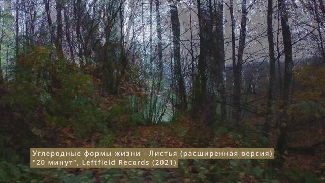 Листва [Carbon Based Lifeforms - Leaves (extended)]