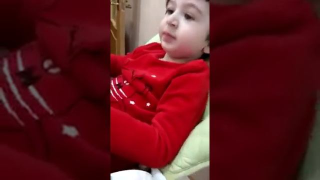 Георгий про комаров- пискунов