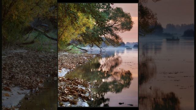 автор:Дарья Шейл авторское стихотворение: "Уходило лето в попыхах" #стихи #осень смотреть онлайн