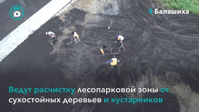 Реконструкция Пестовского парка смотреть онлайн