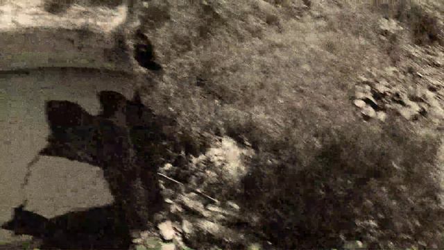 Студия АКорд. Замок Долины нарзанов. 2019