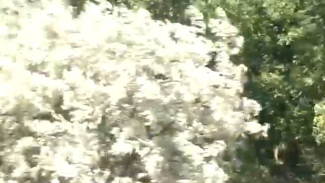 Солнечные батареи на Украине смотреть онлайн