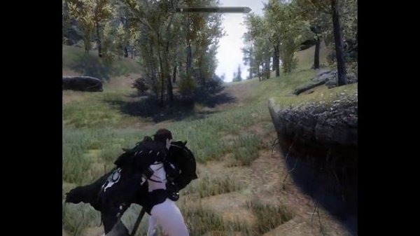 SkySA - Combat Behavior Compulsion Modified [Animations DL]