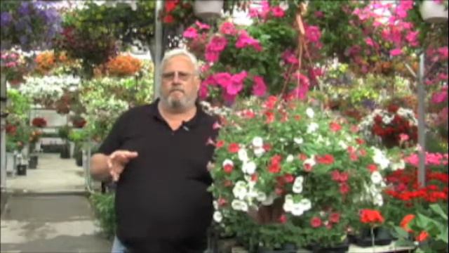 Gardening 101: Hanging Baskets смотреть онлайн
