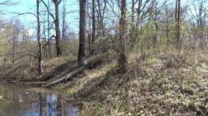 Апрельский сплав по реке Клязьма.