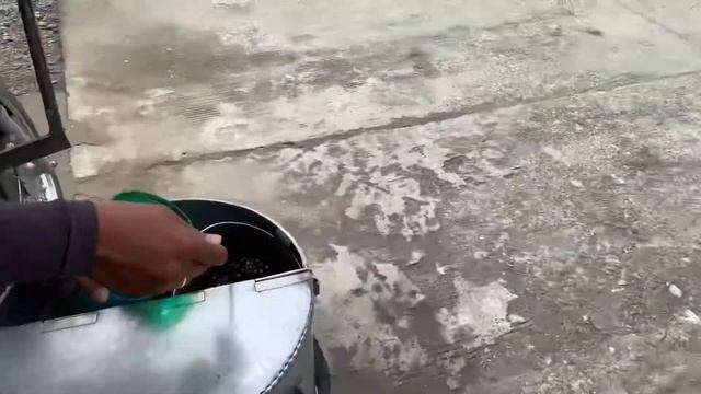 Что едят Филиппинцы. №2 смотреть онлайн