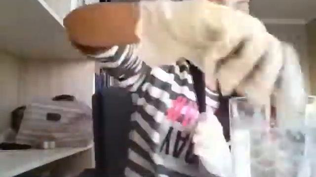 Смотрите 3 видео по окрашиванию волос мелками смотреть онлайн