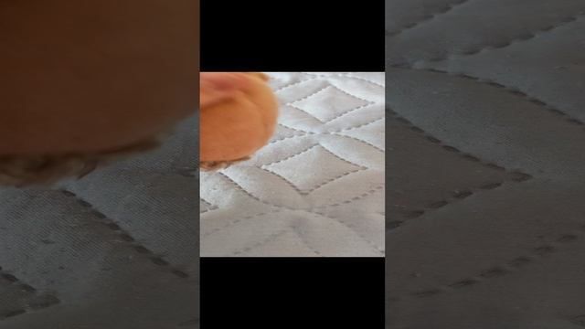 СКИБИДИ звери захватили мир 4 смотреть онлайн