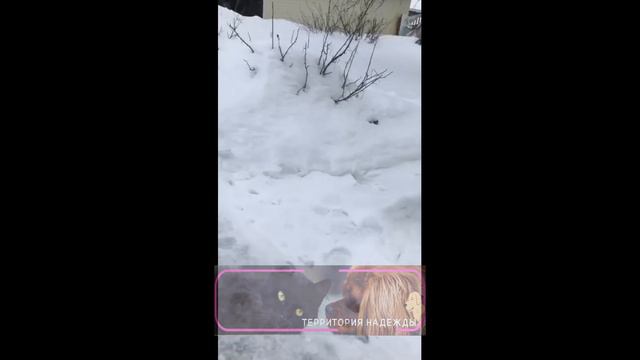 Наконец то удалось заснять видео, как Люська носится с мягкой игрушкой. Сын ей подарил и Люся поко смотреть онлайн