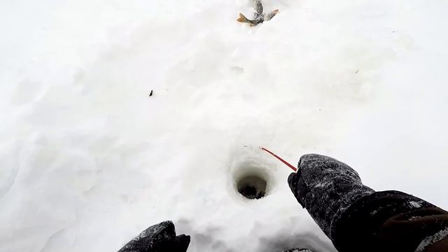 Глухозимье! Ловля Окуня на Пикуль! Рыбалка на озере "Большие Чертаны"! смотреть онлайн