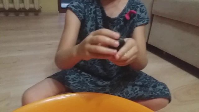 Хомячок-девочка Симочка купается смотреть онлайн