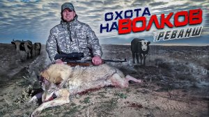 охота на волков.ДОБЫЛИ МАТЕРОГО ВОЛКА! wolfsjagd.wolf hunting.