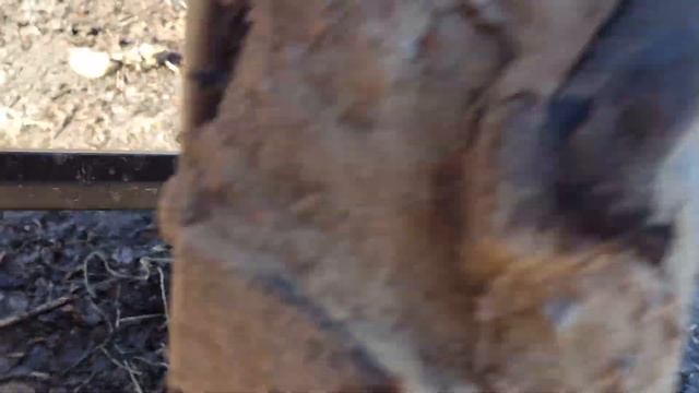 Мотоблок SHTENLI его минусы/самодельный прицеп /как завести мотоблок смотреть онлайн