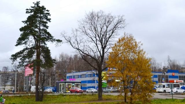 Строящееся кафе у озера в Новом Девяткино: мифы и реальность смотреть онлайн