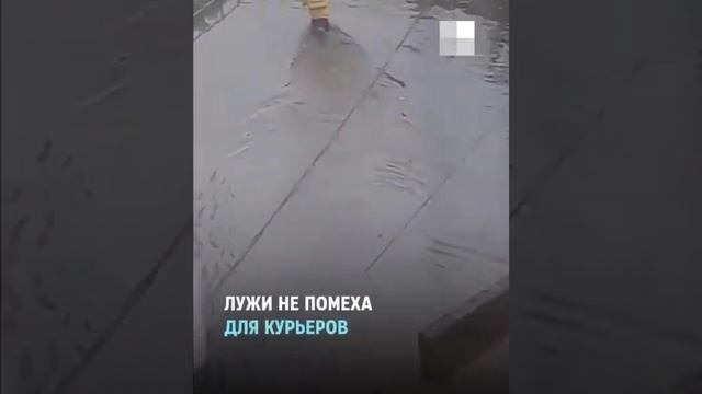 КОГДА ЖЕ У НАС СДЕЛАЮТ ЛИВНЕВКИ, НЕТ ДЕНЕГ У ГОРОДА? смотреть онлайн