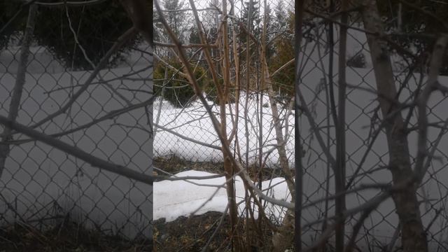 Приводим в порядок сливу смотреть онлайн