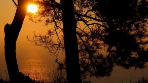 УСТАЛ Я ЖИТЬ... В РОДНОМ КРАЮ.