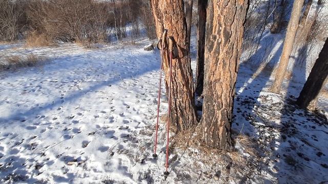 Палки для скандинавской ходьбы outventure nordic walking pole. Часть 2 смотреть онлайн