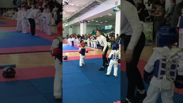 Таэквондо. Спарринг. Пойнт. Кубок ? мэра. Сыктывкар. 23 декабря 2018 год смотреть онлайн