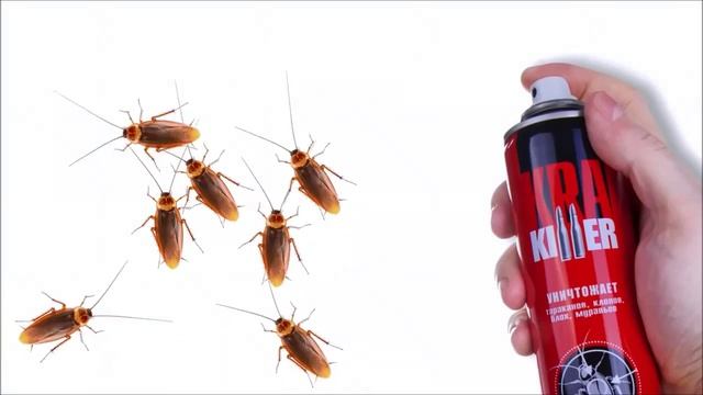 Средство инсектицидное "КРА от тараканов" - аэрозоль в баллоне! смотреть онлайн