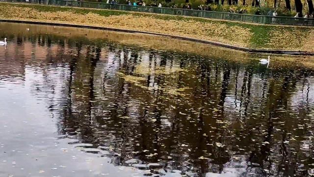 Летний сад, октябрь 2022 смотреть онлайн