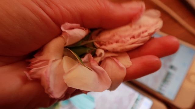 Наше первое видео! О том, как сделать тоник для лица за 60 минут. смотреть онлайн