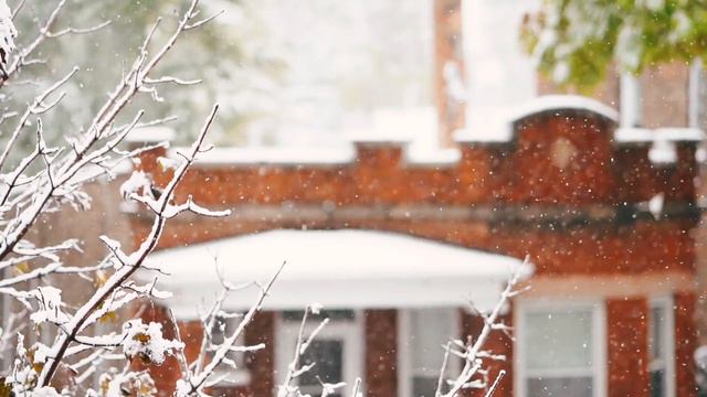 Still Still Still (MV)