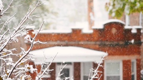 Still Still Still (MV)