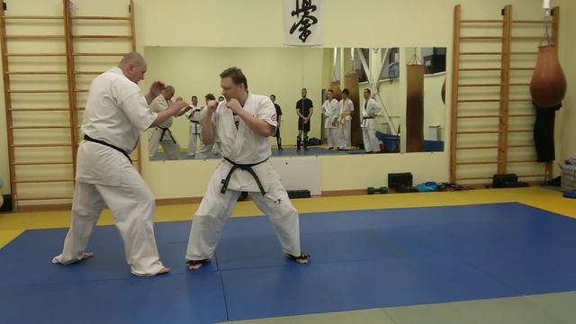 Сэнсей Морозов объясняет защиту от маэ гери с контратакой лоу киком смотреть онлайн