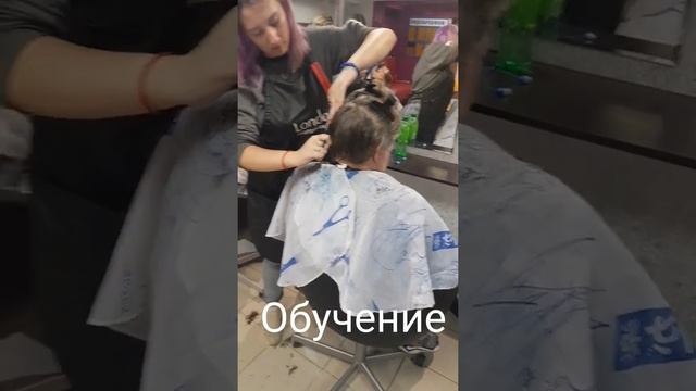 Обучение парикмахеров смотреть онлайн