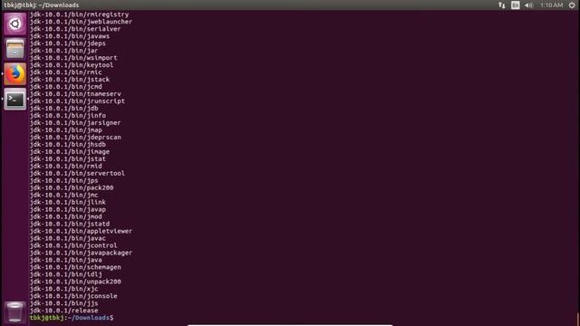 Installing Oracle Java 10 on Ubuntu/Linux смотреть онлайн