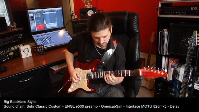 DSM Omnicabsim With Guitar Demo