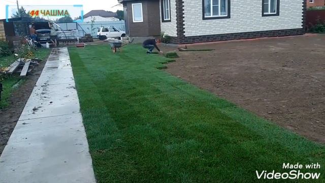 Таёр Газон экиш усули✅ смотреть онлайн