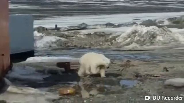 Остров Большевик смотреть онлайн
