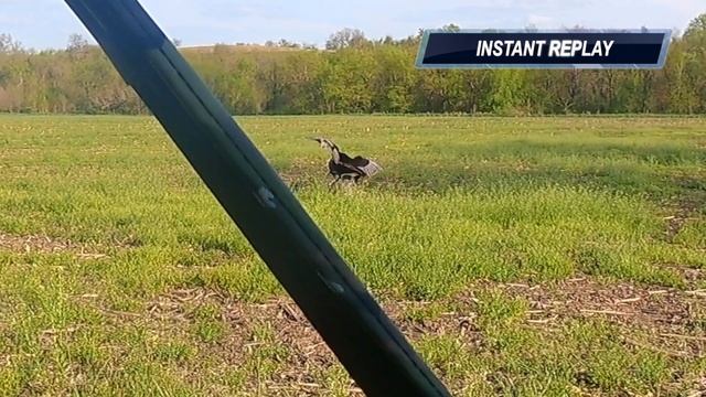 LAST DAY SUCCESS: Turkey Bowhunt смотреть онлайн
