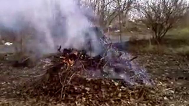 Листья жгут смотреть онлайн