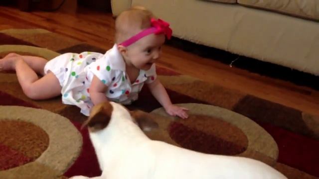 Щенок учит малышку ползать смотреть онлайн