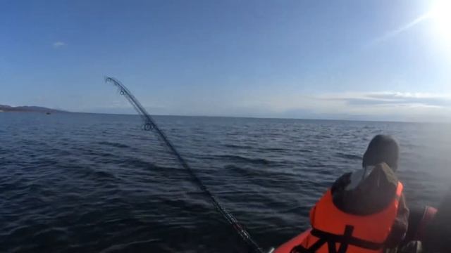 Морская рыбалка на камбалу Сахалин. Морская собака. the island of Sakhalin. 在萨哈林岛钓鱼 смотреть онлайн