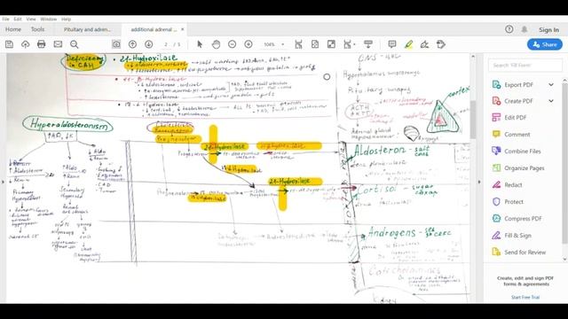 Заболевания надпочечников смотреть онлайн