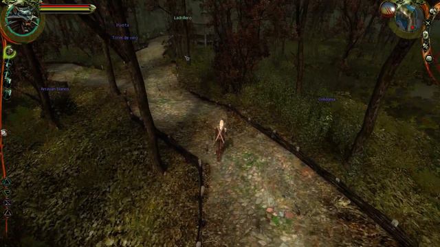 32 - The Witcher 1 - Ciengas y Morenn смотреть онлайн