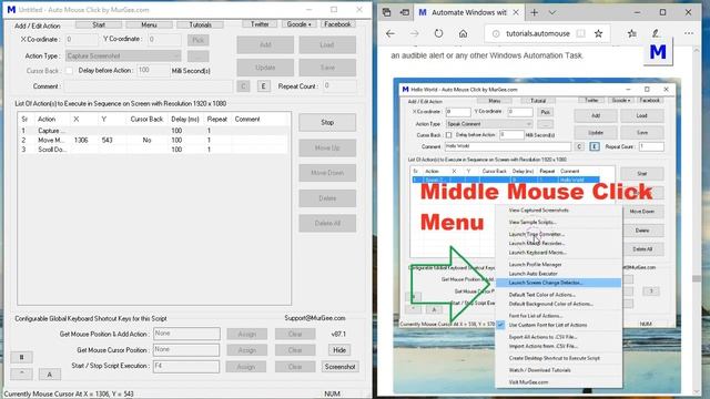 Auto Screenshot Capture From Macro Script
