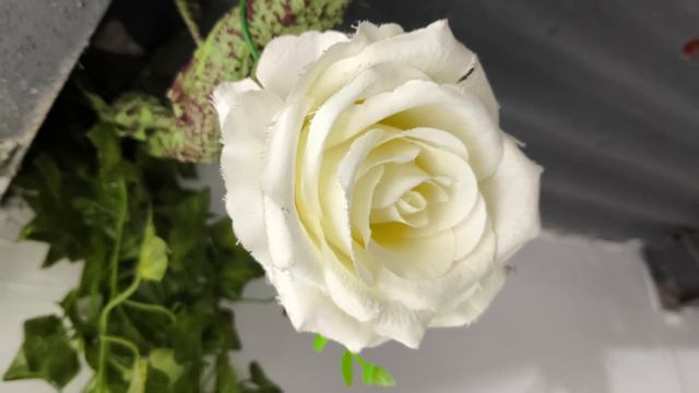 POCO X6 PRO: MAPAPAUPGRADE KA SA GANDA NG PRESYO? смотреть онлайн