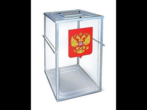 Вопросы обеспечения участия инвалидов по зрению в общероссийском голосовании