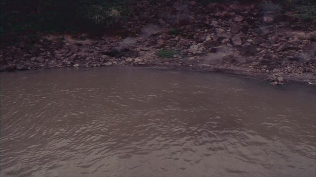 Джамбо! смотреть онлайн