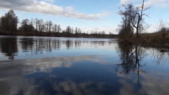 Голавль на жерлицу весной! Плотва на удочку и фидер. Весна. Река Теза. смотреть онлайн