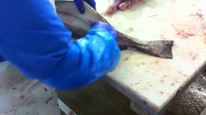 Разделка трески на филе вручную