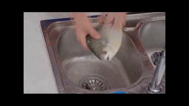 Ozone generator sterilizer video смотреть онлайн