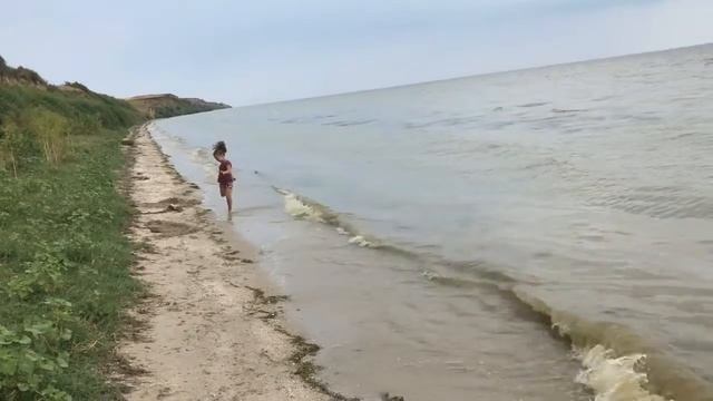 Собираем рачков гаммарус! смотреть онлайн