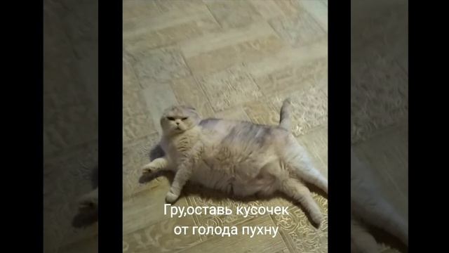 Пухну от голода смотреть онлайн
